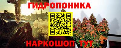 PSILOCYBIN Малоярославец