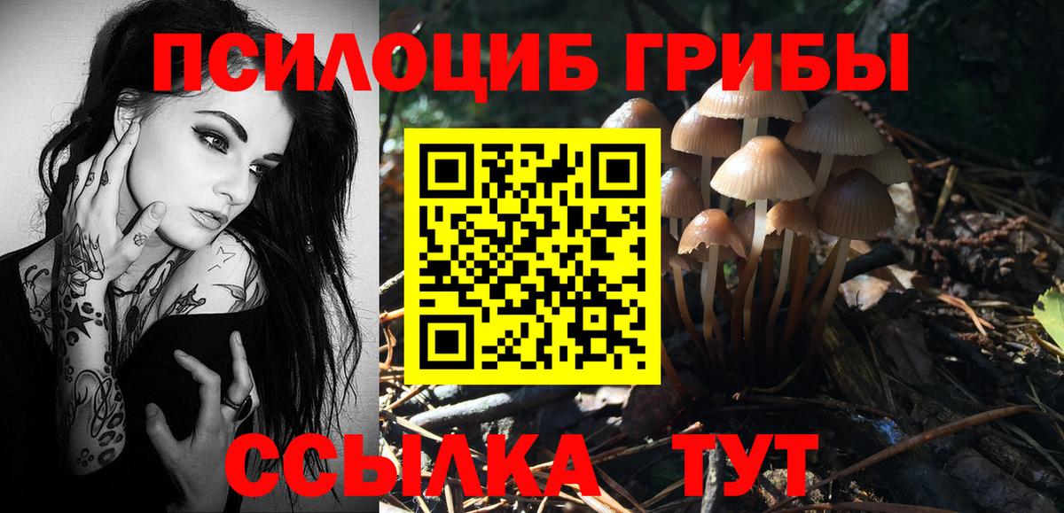 Хабаровск  Галлюциногенные грибы GOLDEN TEACHER  даркнет сайт  Вход с VPN 