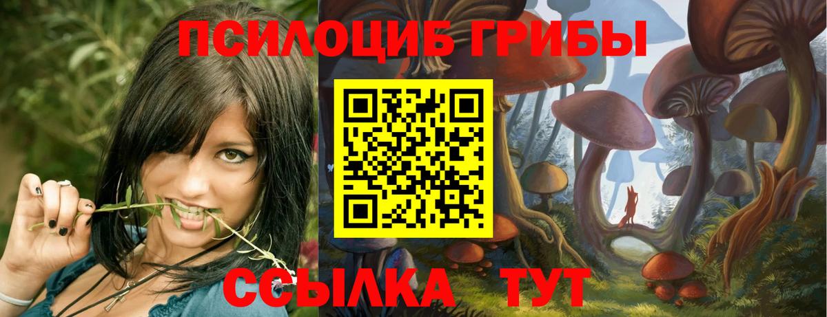 Псилоцибиновые грибы Psilocybine cubensis Хабаровск